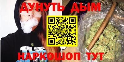 индика Пушкино