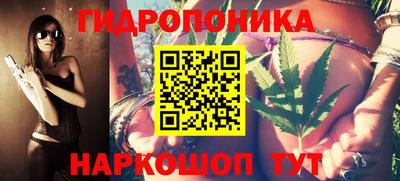 индика Пушкино