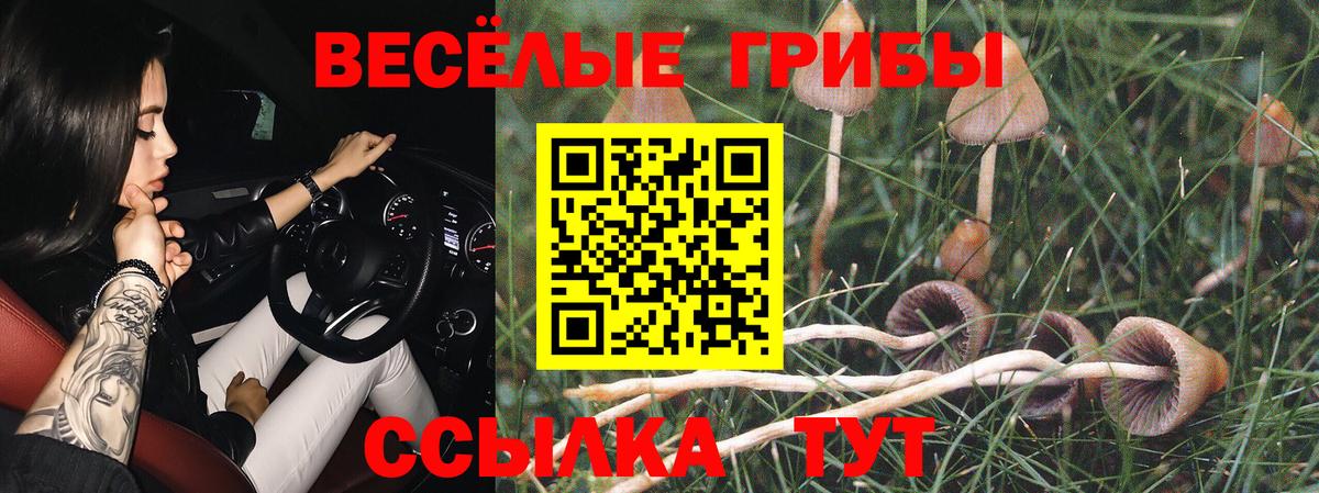 Новосибирск  Галлюциногенные грибы прущие грибы  Псилоцибиновые грибы мицелий  Вход с VPN 